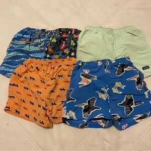 Patagonia Shorts Bundle